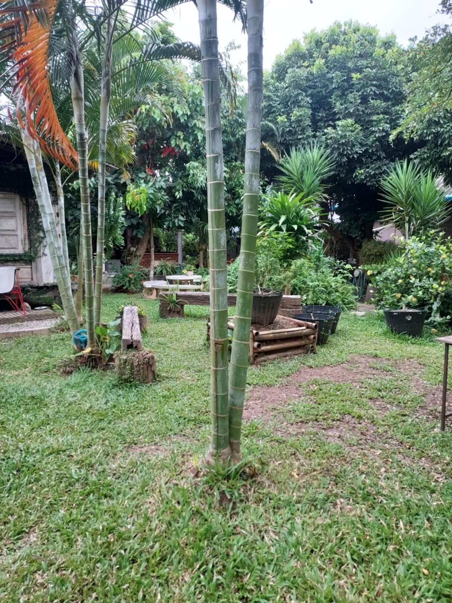 Kwanlah Homestay Mae Chaem Exteriör bild