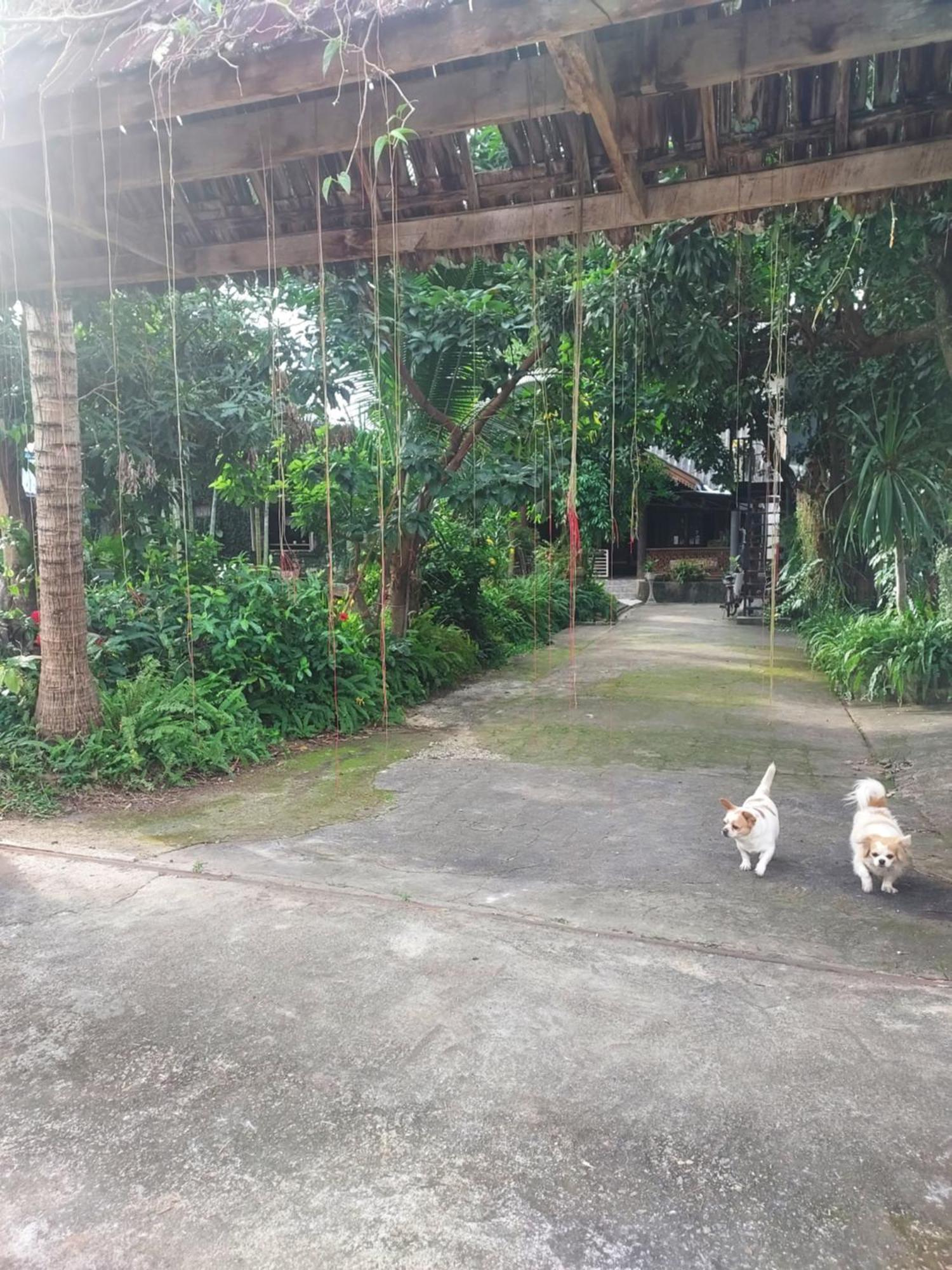 Kwanlah Homestay Mae Chaem Exteriör bild